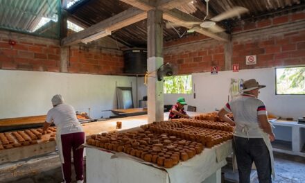 Santo Domingo reporta mejoras en dos trapiches de Santa Gertrudis