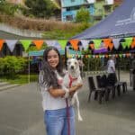 Medellín pondrá en marcha Coolpets con festival en Ciudad del Río