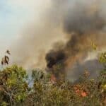 UNGRD reporta 16 incendios forestales activos en Colombia