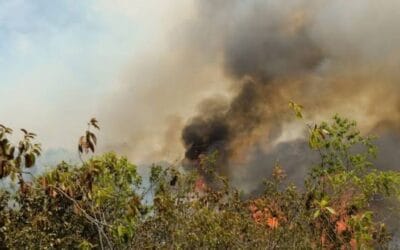 UNGRD reporta 16 incendios forestales activos en Colombia