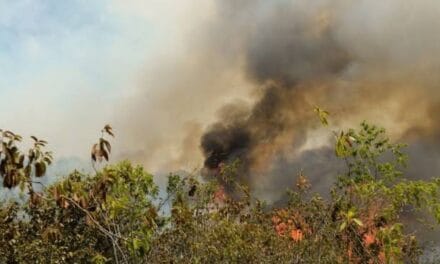 UNGRD reporta 16 incendios forestales activos en Colombia