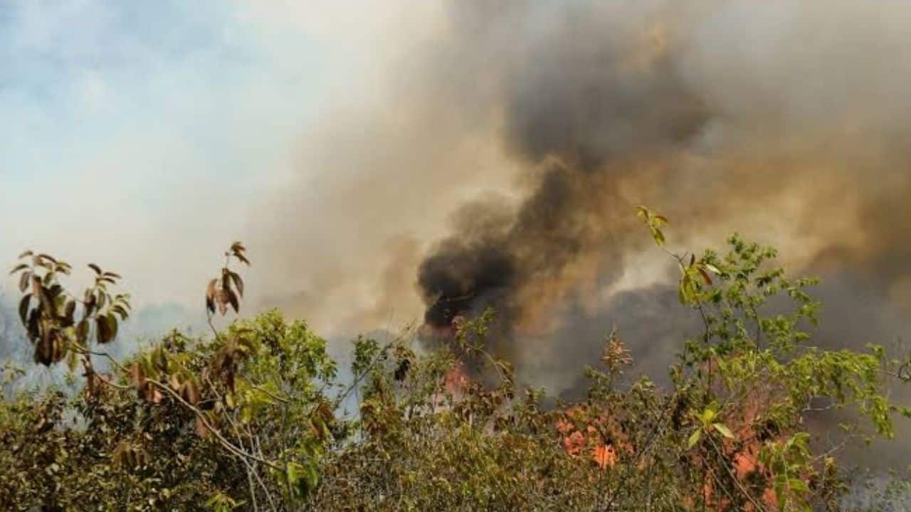 Balance de incendios forestales activos en Colombia reportado por la UNGRD