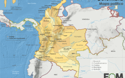 Categorización Fiscal en Colombia: ¿Por qué frena el desarrollo local?