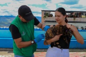 Yarumal anuncia jornada de vacunación antirrábica en el sector La Virgen