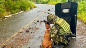 Destruyen explosivo en la vía a Ituango y restablecen el paso