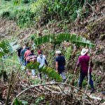 Cañasgordas reporta avances en vía rural, Colombia Mayor y control de roedores