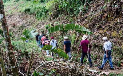 Cañasgordas reporta avances en vía rural, Colombia Mayor y control de roedores