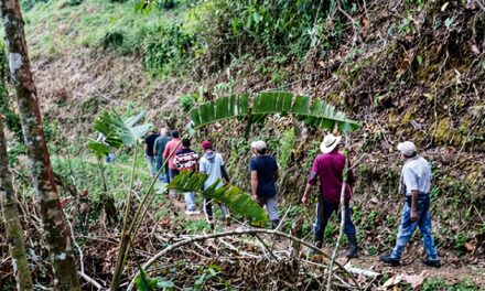 Cañasgordas reporta avances en vía rural, Colombia Mayor y control de roedores