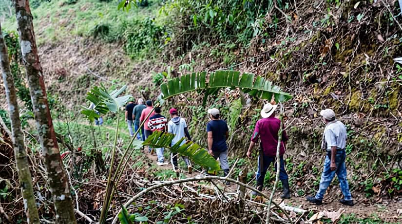 imagen de referencia de la noticia Cañasgordas reporta avances en vía rural, Colombia Mayor y control de roedores