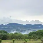 Ideam reporta alertas en 279 municipios por incendios y en 196 por deslizamientos