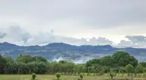 Ideam reporta alertas en 279 municipios por incendios y en 196 por deslizamientos