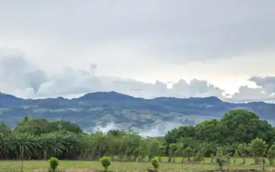 Ideam reporta alertas en 279 municipios por incendios y en 196 por deslizamientos