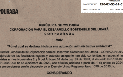 Corpouraba abre actuación para evaluar aprovechamiento forestal en predios de San Juan de Urabá y Arboletes