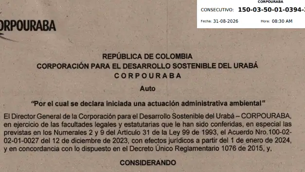 Corpouraba abre actuación para evaluar aprovechamiento forestal en predios de San Juan de Urabá y Arboletes