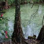 Estudiantes de la UdeA ganan dos Becas Colombia Biodiversa con proyectos en Urabá