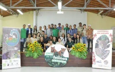 Corantioquia reporta 99 % de efectividad antidepredatoria en Ituango