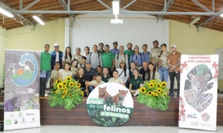 Corantioquia reporta 99 % de efectividad antidepredatoria en Ituango