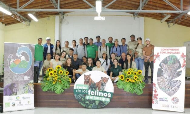 Corantioquia reporta 99 % de efectividad antidepredatoria en Ituango