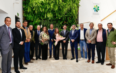 Gobierno y Asocolflores exploran alivios para la floricultura