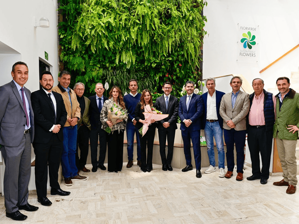 Cultivo de flores usado para ilustrar la floricultura colombiana