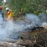Parques Nacionales reporta 15 incendios y daños a la fauna