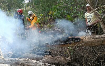 Parques Nacionales reporta 15 incendios y daños a la fauna