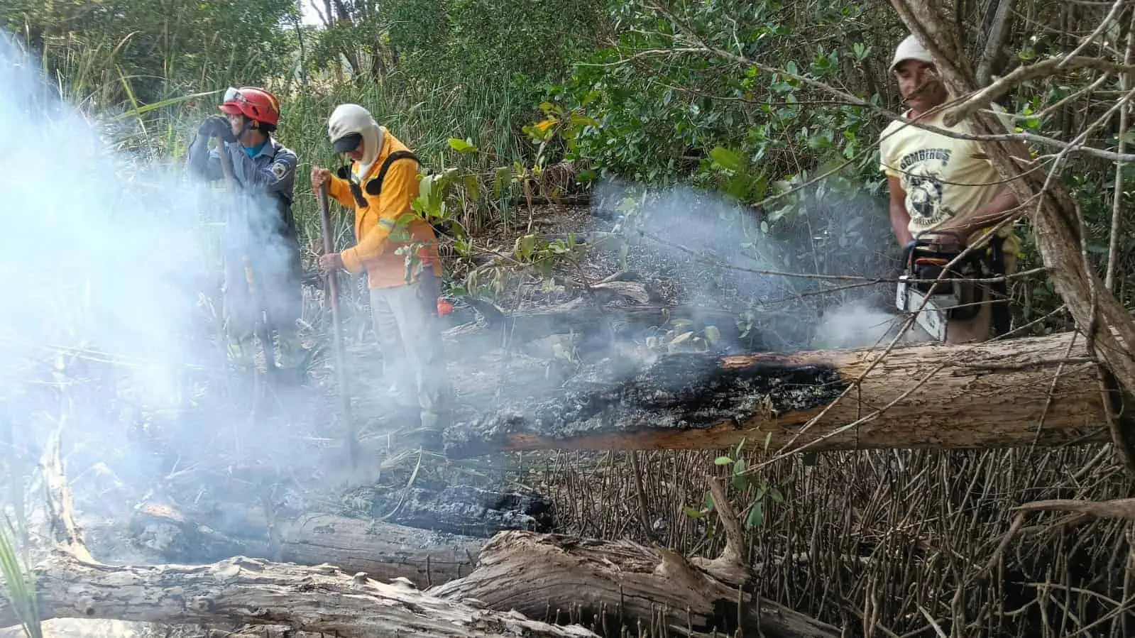 Cachorro de puma rescatado durante incendios forestales en Cinaruco
