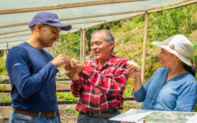 Interactuar reporta alza de ventas y empleo en agroempresas