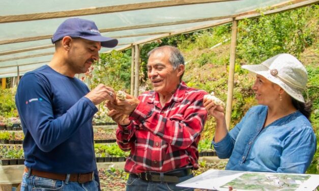 Interactuar reporta alza de ventas y empleo en agroempresas