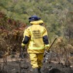 Parques Nacionales cierra temporalmente el Santuario Iguaque por incendio forestal
