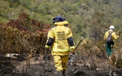 Parques Nacionales cierra temporalmente el Santuario Iguaque por incendio forestal