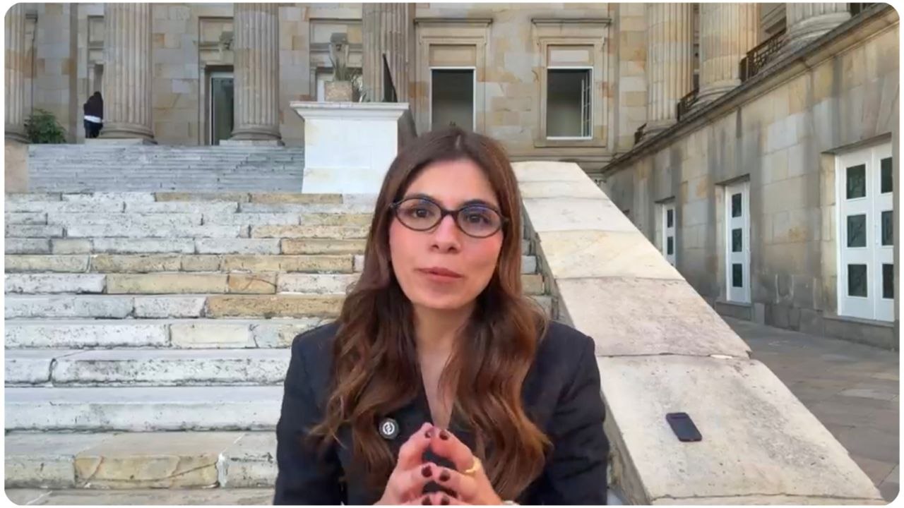 Imagen adjunta asociada al boletín sobre inteligencia artificial de la senadora María Lucía Villalba