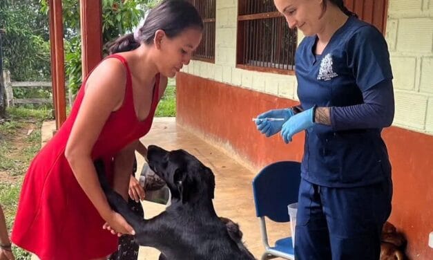 Jornada de bienestar animal llegó a San Mauricio, vereda de Yalí