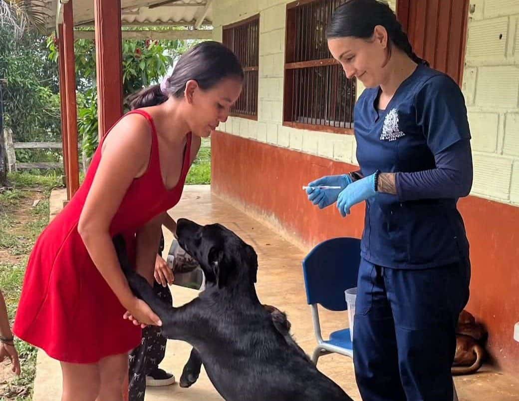 Imagen adjunta sobre bienestar animal en Yalí