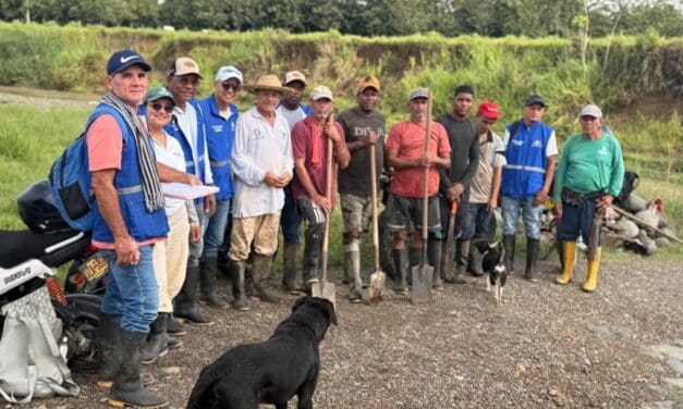 Quebrada El Guineo recibe 500 árboles en reforestación