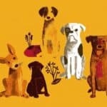 Comfama y Ringo anuncian libro sobre tenencia responsable