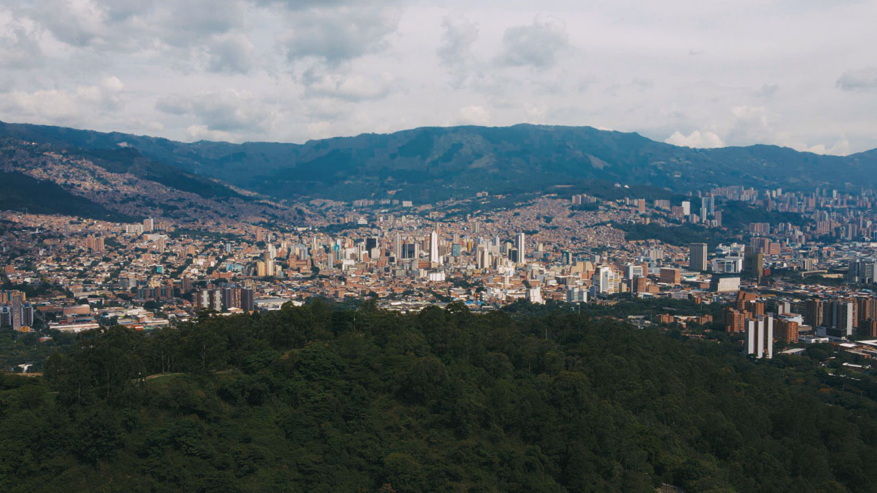 Área boscosa del Alto de San Miguel asociada al registro del vaco cabecinegro en Medellín