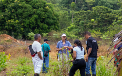 Villa Hermosa: choibá, vainilla y monitoreo para conservar bosque