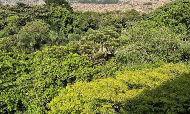 Director del GEF destaca a Medellín en Climate Week