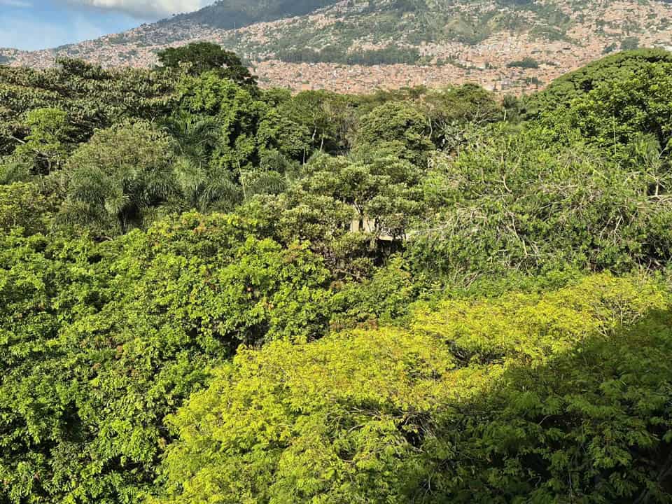 Climate Week en el Jardín Botánico de Medellín durante un encuentro sobre biodiversidad y acción climática