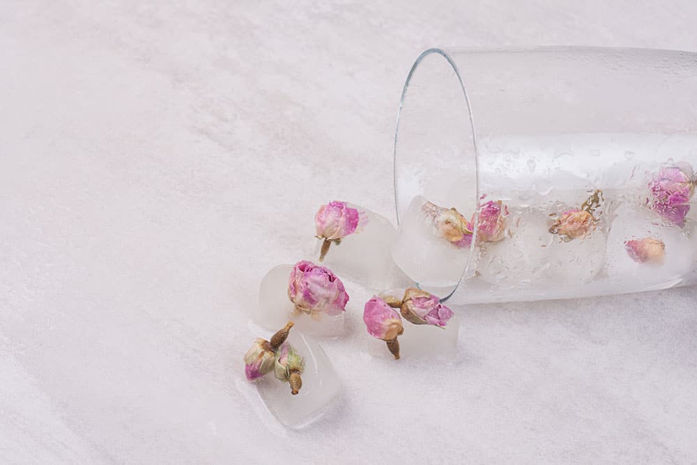 Cubetti di ghiaccio con fiori