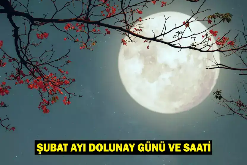 Şubat 2025 Dolunay Burçlara Etkisi