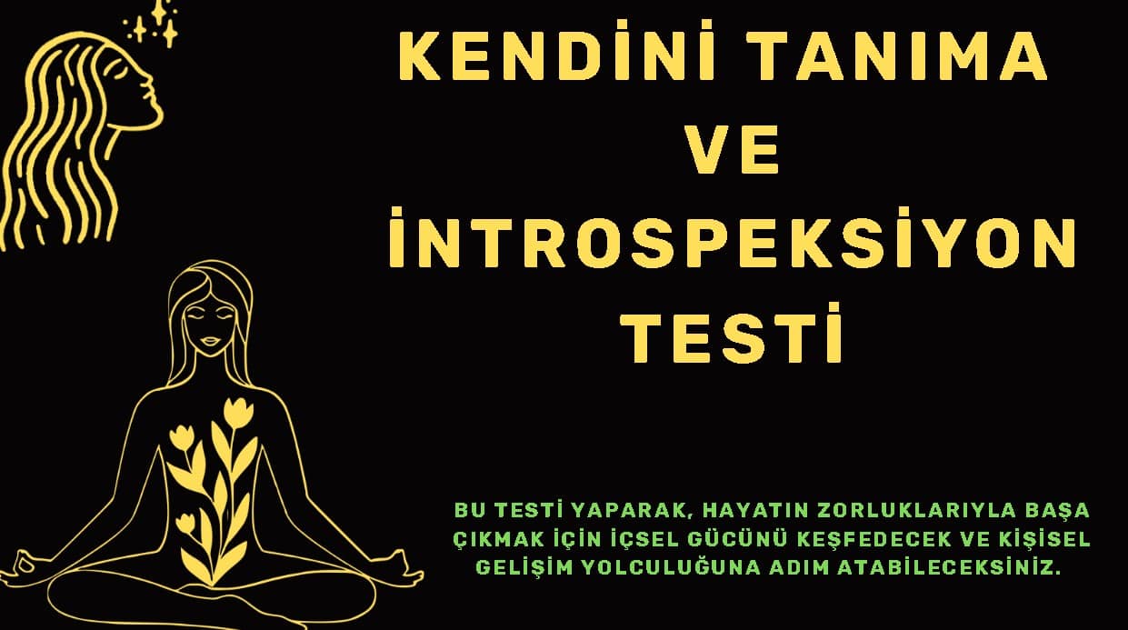 Kendini Tanıma ve İntrospeksiyon Testi