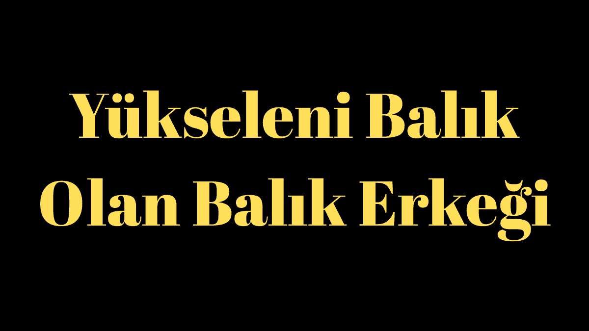 Yükseleni Balık Olan Balık Erkeği