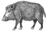 a0913Lai05.psd