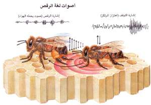 http://oloommagazine.com/images/Articles/11/SCI95b11N2_H03_004722.jpg