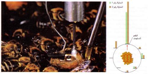 http://oloommagazine.com/images/Articles/11/SCI95b11N2_H03_004723.jpg