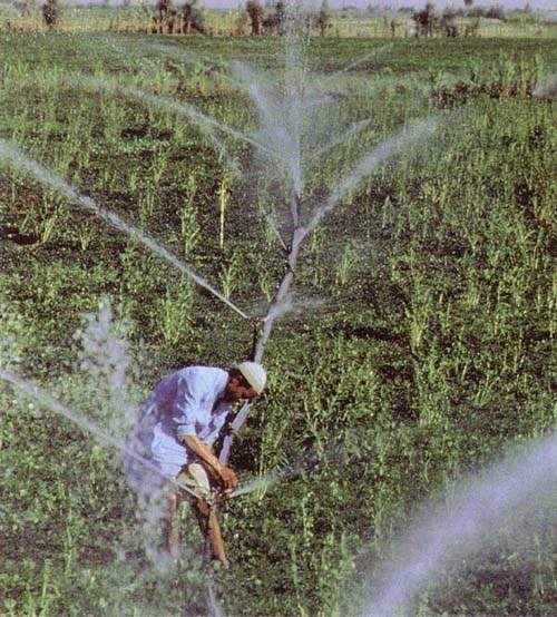 http://oloommagazine.com/images/Articles/11/SCI95b11N1_H02_004592.jpg