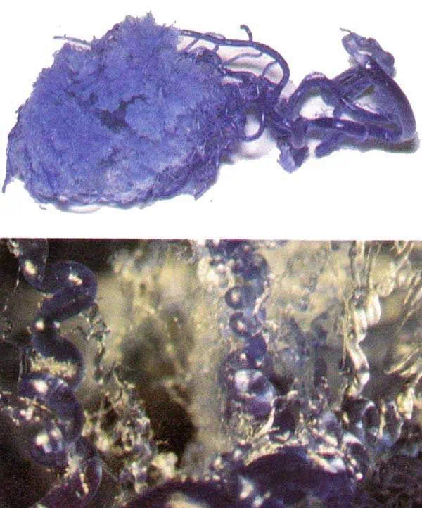 http://oloommagazine.com/images/Articles/11/SCI95b11N4_H03_004961.jpg