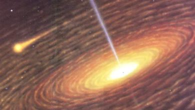 http://oloommagazine.com/images/Articles/11/SCI95b11N6-7_H02_005149.jpg